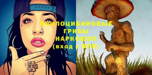круглые Аркадак