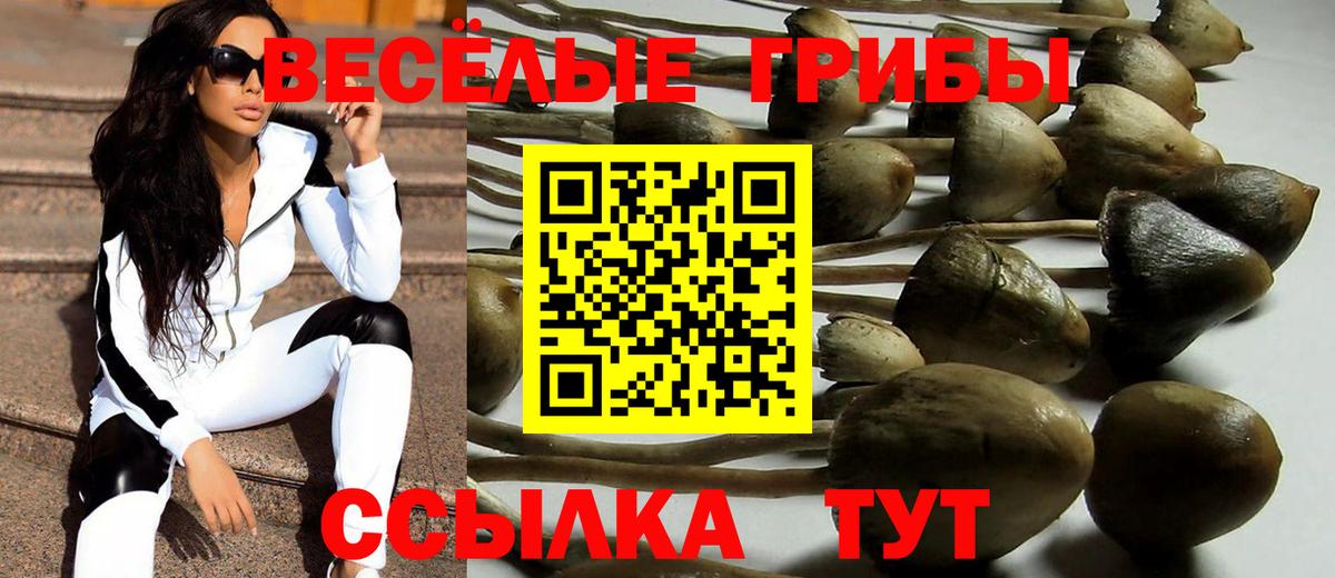 Галлюциногенные грибы GOLDEN TEACHER  Вход с VPN  что такое наркотик  Галлюциногенные грибы Magic Shrooms  Арсеньев 