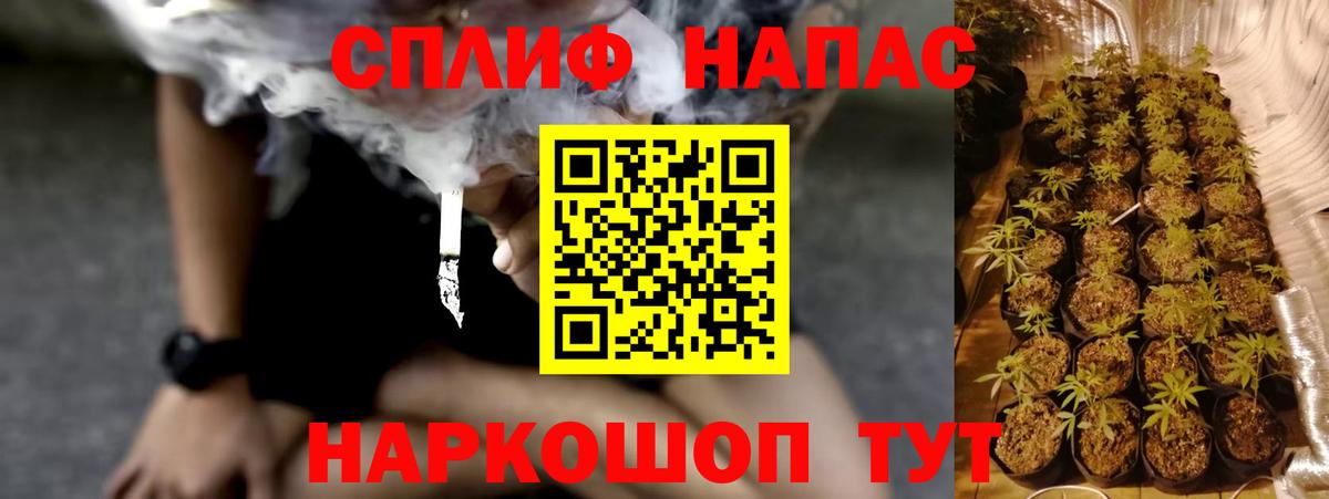 Шишки марихуана Amnesia Арсеньев